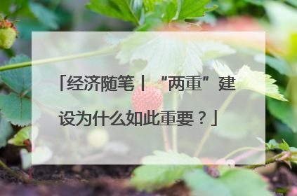 经济随笔丨“两重”建设为什么如此重要？