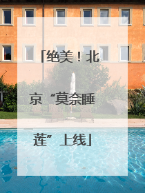 绝美！北京“莫奈睡莲”上线