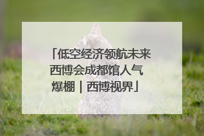 低空经济领航未来 西博会成都馆人气爆棚｜西博视界