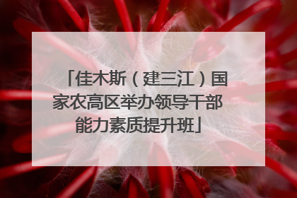 佳木斯（建三江）国家农高区举办领导干部能力素质提升班