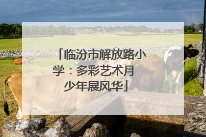临汾市解放路小学：多彩艺术月 少年展风华