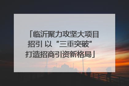 临沂聚力攻坚大项目招引 以“三重突破”打造招商引资新格局