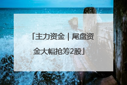 主力资金｜尾盘资金大幅抢筹2股