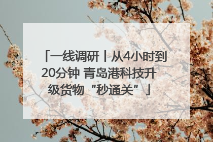 一线调研丨从4小时到20分钟 青岛港科技升级货物“秒通关”