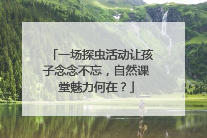 一场探虫活动让孩子念念不忘，自然课堂魅力何在？