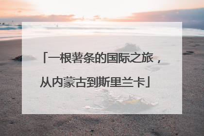 一根薯条的国际之旅，从内蒙古到斯里兰卡