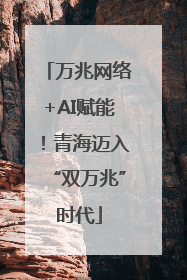 万兆网络+AI赋能！青海迈入“双万兆”时代