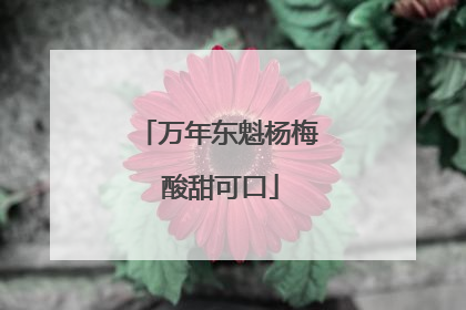万年东魁杨梅 酸甜可口