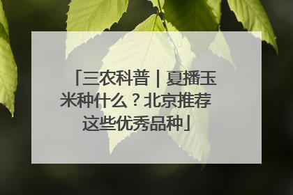 三农科普｜夏播玉米种什么？北京推荐这些优秀品种