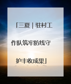 三夏｜驻村工作队筑牢防线守护丰收成果