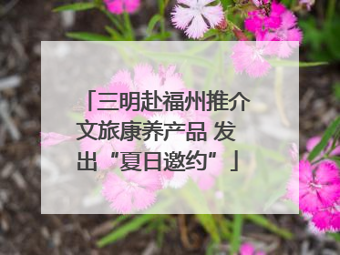 三明赴福州推介文旅康养产品 发出“夏日邀约”