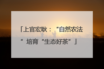 上官宏耿：“自然农法”培育“生态好茶”