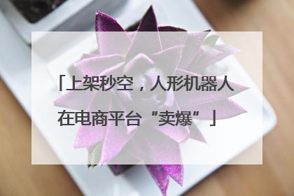 上架秒空，人形机器人在电商平台“卖爆”