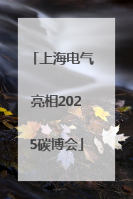 上海电气亮相2025碳博会