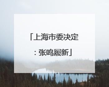上海市委决定：张鸣履新