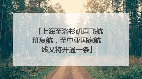 上海至洛杉矶直飞航班复航，至中亚国家航线又将开通一条