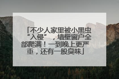 不少人家里被小黑虫“入侵”，墙壁窗户全部爬满！一到晚上更严重，还有一股臭味