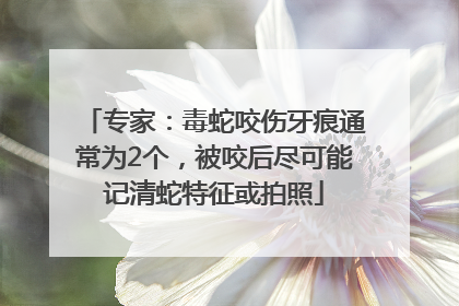 专家：毒蛇咬伤牙痕通常为2个，被咬后尽可能记清蛇特征或拍照