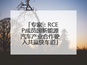 专家：RCEP成员国新能源汽车产业合作驶入共赢快车道