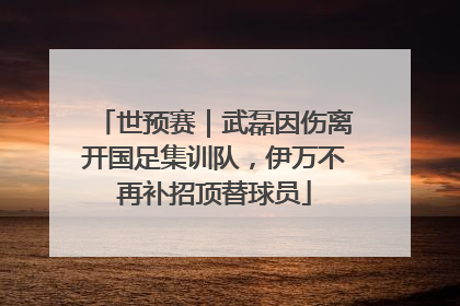 世预赛｜武磊因伤离开国足集训队，伊万不再补招顶替球员