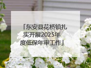 东安县花桥镇扎实开展2025年度低保年审工作