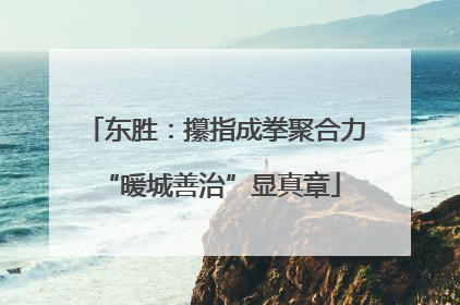 东胜：攥指成拳聚合力 “暖城善治”显真章