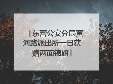 东营公安分局黄河路派出所一日获赠两面锦旗