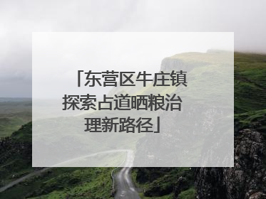 东营区牛庄镇探索占道晒粮治理新路径
