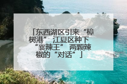 东西湖区引来“樟树港” 江夏区种下“襄辣王” 两颗辣椒的“对话”