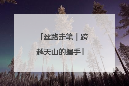 丝路走笔｜跨越天山的握手