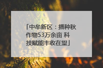 中牟新区：播种秋作物53万余亩 科技赋能丰收在望