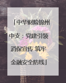 中华财险锦州中支：党建引领消保宣传 筑牢金融安全防线