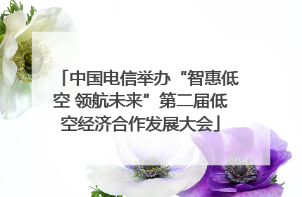 中国电信举办“智惠低空 领航未来”第二届低空经济合作发展大会