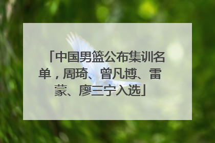 中国男篮公布集训名单，周琦、曾凡博、雷蒙、廖三宁入选
