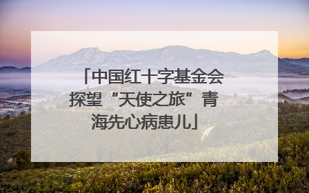 中国红十字基金会探望“天使之旅”青海先心病患儿