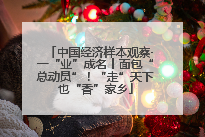 中国经济样本观察·一“业”成名丨面包“总动员”！“走”天下也“香”家乡