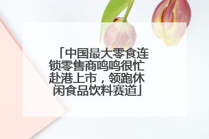 中国最大零食连锁零售商鸣鸣很忙赴港上市，领跑休闲食品饮料赛道