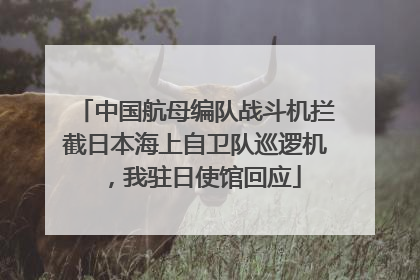 中国航母编队战斗机拦截日本海上自卫队巡逻机，我驻日使馆回应