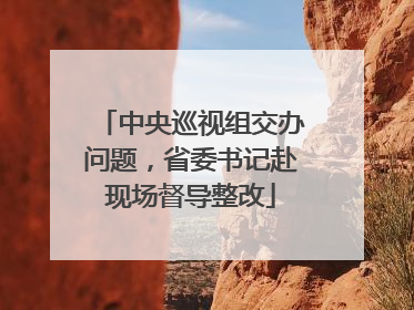 中央巡视组交办问题，省委书记赴现场督导整改