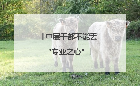 中层干部不能丢“专业之心”