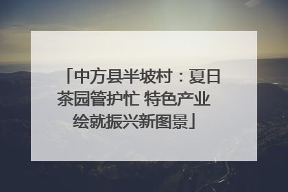 中方县半坡村：夏日茶园管护忙 特色产业绘就振兴新图景