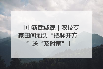 中新武威观｜农技专家田间地头“把脉开方”送“及时雨”