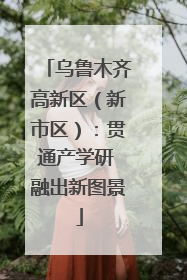 乌鲁木齐高新区（新市区）：贯通产学研 融出新图景