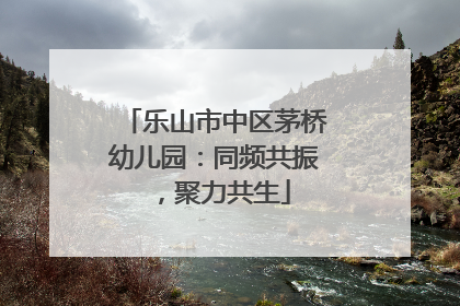 乐山市中区茅桥幼儿园：同频共振，聚力共生