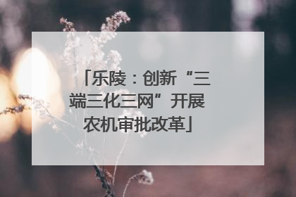 乐陵：创新“三端三化三网”开展农机审批改革