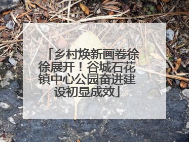 乡村焕新画卷徐徐展开！谷城石花镇中心公园奋进建设初显成效