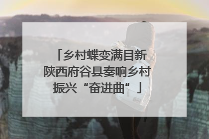 乡村蝶变满目新 陕西府谷县奏响乡村振兴“奋进曲”