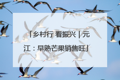 乡村行 看振兴｜元江：早熟芒果销售旺