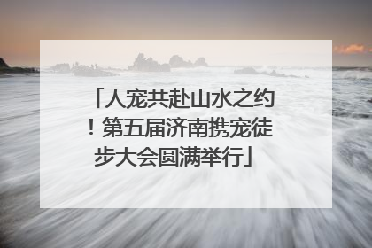人宠共赴山水之约！第五届济南携宠徒步大会圆满举行