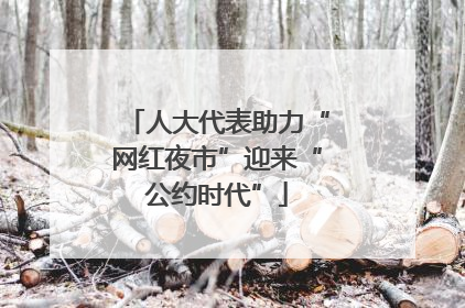 人大代表助力“网红夜市”迎来“公约时代”